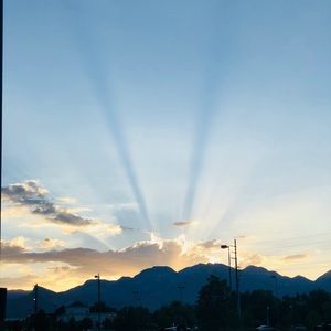 Meet your Posher, Shelly